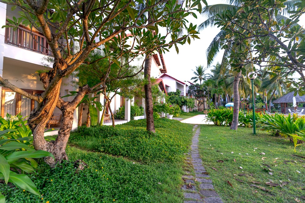 Tranquil green grounds of the estate